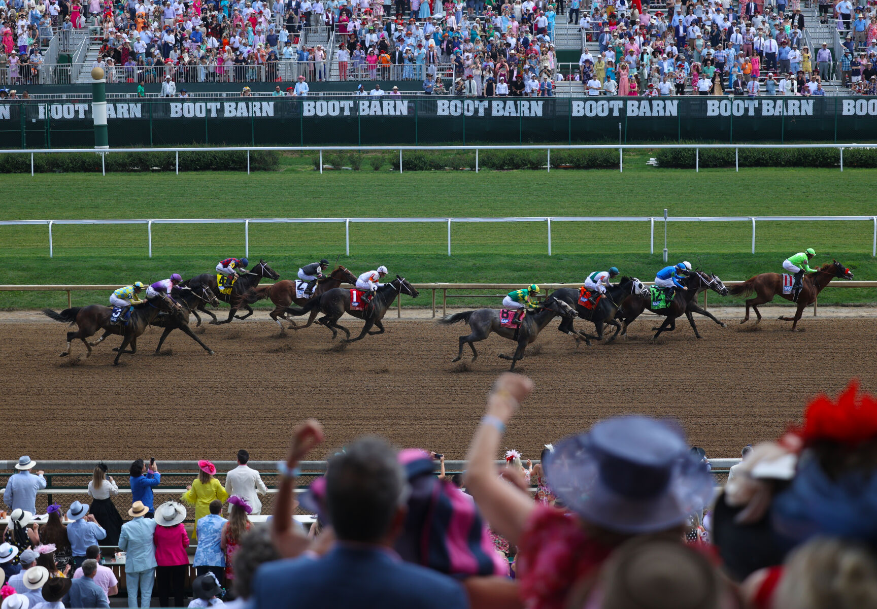 Final stretch as horses race.JPG